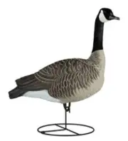 NEW Dakota Decoy 19700 Waterfowl Hunting Signature Series Sentry Geese (6 Pack)