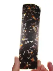 65.3g SERICHO pallasite Meteorite slice - from Kenya CA234
