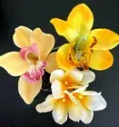3 Assorted Yellow/white silk flower pens, Cymbidium Orchids, plumerias