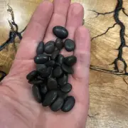 Black Rock, River Rocks Pebbles for Plants 8.5 lbs. , Decorative Rocks