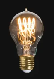 B&P Lamp® Medium Base E26 LED Edison Bulb with Vintage Style Loop Filament, A19