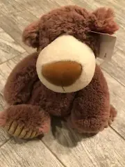 Aurora Plush Stuffed Teddy Bear animal Mocha & Frappuccino 14772 Coffee 15" NWT