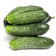 Cucumber - Calypso F1 seeds