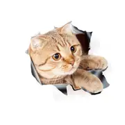 5 Pcs 3D Stereo Animal Car Stickers Waterproof Sunscreen Creative Cat Car Windows Sticker Cute Car Decals Ornament