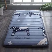 Tatami Mattress Futon Mattress Topper Soft Thick Folding Mattress Pad for Student Dormitory, Home, Bed, As Guests Sleeping Pad, Futon Mattress, Floor Mattress,C,70x140cm(28x55inch)