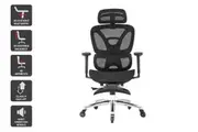 Ergolux Pro Ergonomic Office Chair with Footrest (Black)