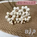 日初❙花藝  小白花索拉花 索拉木心小白花 索拉花 蓪草花 手工花 括香花