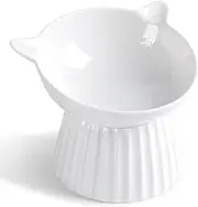Wellbro Ceramic Raised Cat Bowl，Tilted Raised Cat Bowl Anti Vomit Cat Bowls for Indoor Cats Whisker Friendly Pet Feeder for Cats Puppies, Microwave and Dishwasher Safe
