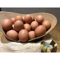 在飛比找蝦皮購物優惠-王媽媽健康蛋/青創在地新鮮小農蛋/無抗養殖/黑水虻蛋-新鮮現