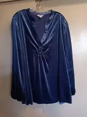 Terra & Sky Women's Blue Polyester Spandex Top Rayon Lined Long Sleeve Sz 2X NWT