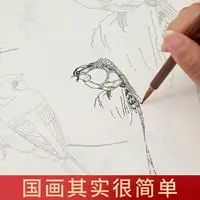 在飛比找樂天市場購物網優惠-中國畫白描入門描摹本臨摹冊宣紙國畫紙宣紙熟宣寫意工筆畫專用底