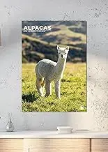 Alpacas Calendar 2026 – A Year of Adorable, Fluffy Fun