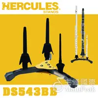 在飛比找蝦皮購物優惠-【恩心樂器】Hercules DS543BB 長笛 / 豎笛