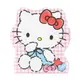 小禮堂 Hello Kitty 造型萬用卡 (紅格子款)