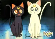Luna & Artemis Cats Vintage Sailor Moon Trading Card DIC # 35 TOEI