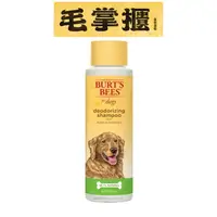 在飛比找樂天市場購物網優惠-Burt's Bees 小蜜蜂爺爺 - 蘋果迷迭香沐浴露16