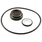 Raypak Protege Pump Mechanical Seal with Volute O-Ring Kit for RPAGP (018227F)