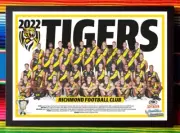 Framed 2022 RICHMOND TIGERS AFL Poster - 84cm x 59.5cm x 3cm