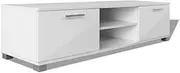 vidaXL Modern Scandinavian Style High-Gloss White TV Cabinet - Engineered Wood MDF Television Stand with Storage, 120x40.3x34.7 cm