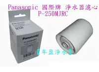 在飛比找Yahoo!奇摩拍賣優惠-【年盈淨水百貨】Panasonic 國際牌 淨水器濾心 P-