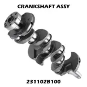 Upgrade Crankshaft 231102B100 For Hyundai Rayna Pratt 12 RIO 2011-2017 K2 11-16 (for: Hyundai)