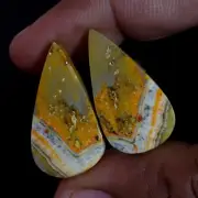 Natural BumbleBee Jasper Matched Pair 26.80 Cts. Cabochon Gemstone For Pendant