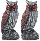 2 Pack Solar Fake Owl Decoys to Scare Birds Away - Plastic Scarecrows...