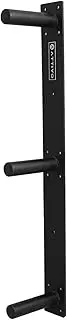 Olympic Weight Plate Wall Storage Rack - 3 Pegs