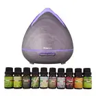 NNEDSZ Purespa Diffuser Set With 10 Pack Diffuser Oils Humidifier Aromatherapy -