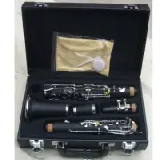 Funion 19K Bb Key Clarinet Set Germany Style Ebonite Body Nickel Plated Keys
