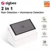 Haozee Tuya Zigbee Raindrop Detection Sensor with Light Detector IPX4 Outdoor Wa