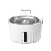 Cat Water Fountain Automatic Water Dispenser with Filter Healthy Drinking Quiet