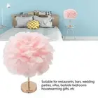 AU Feather Table Lamp Touch Dimming 3 Color Temp USB Charging Decorative Desk