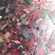 Sequin Rectangle 1.5" Red Silver Bird Feathers Print Metallic