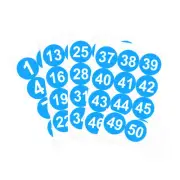 Round Number Stickers 100mm Number 1-50 Self Adhesive PVC Label White/Blue