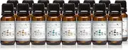 Sweet Treats - Set of 16 Premium Fragrance Oils - Barnhouse Blue