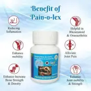 Pain-O-Lex for managing bones, spondylitis,joints,Arthritis &low back pain fs