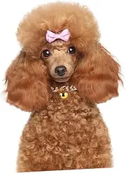 BESPORTBLE 1pc Pet Collar Puppy Necklace Basic Dog Puppy Dog Bells Pet Cat Kit Cat Tracker Breeds Goldendoodle Ornament Locket Necklace Pendant Decoration Golden Copper