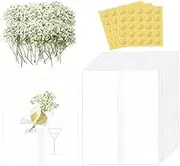 50 Sheets Pre-Folded Kraft Paper Jacket White with Dry Embossed Gold Sticker for 12.7 X 17.7 cm Invitations