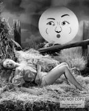 ACTRESS JANE GREER PIN UP - 8X10 PUBLICITY PHOTO (AZ438)