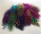40 Types Natural Feathers Peacock Rooster Goose Guinea Duck Pheasant DIY Craft