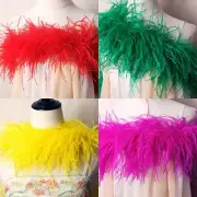 2 Meters Ostrich Feathers Accessories 6Ply for Wedding Diy Feather DecorCrafts