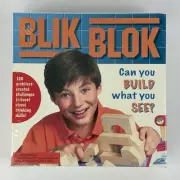 Blik Blok - Can you build what you see? 2006 MindWare Architectural Wood Blocks