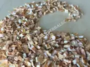 Lemon, Citrus limon, All Natural Dried Peel ~ Schmerbals Herbals