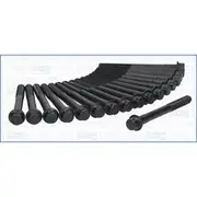 Austral Cylinder Head Bolt Set - 81016400