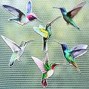 Eaasty 12 Pcs Hummingbird Screen Door Magnets Hummingbird Saver Magnets Flexible Magnetic Decals Decorative Double Sided Magnetic Screen Stickers for Window Patio Sliding Doors Protector