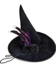 Skeleteen Deluxe Pointed Witch Hat - Glamorous Black Witches Accessories...