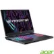 ACER Predator PHN16-71-56ZU黑(i5-13500HX/16G/RTX4060/512GB/W11/16)