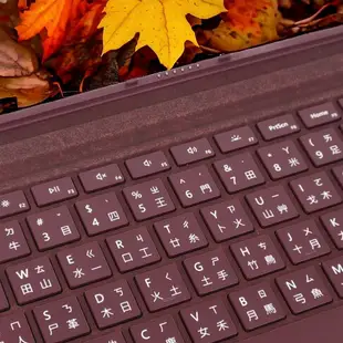 Microsoft 微軟 1725 1755 原廠鍵盤 實體保護蓋 Surface Pro 3 4 5 6 7 FMM-00018
