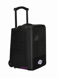 在飛比找Yahoo!奇摩拍賣優惠-欣晟電器 BA-801DCD(80W)雙頻專業攜帶式手提教學